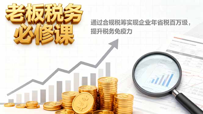 老板税务必修课,通过合规税筹实现企业年省税百万级,提升税务免疫力-夜晚笔记