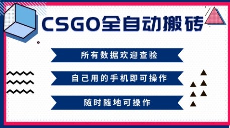 CSGO全自动搬砖，年底钱回家好项目，当天可拿到结果，新手小白轻松月入1W+【揭秘】-夜晚笔记