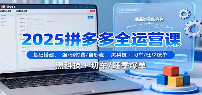 2025拼多多全运营课：基础搭建，强/弱付费/自然流，黑科技 + 切车/旺季爆单-夜晚笔记