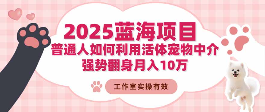 2025蓝海项目:普通人如何利用活体宠物中介,强势翻身月入10万-夜晚笔记