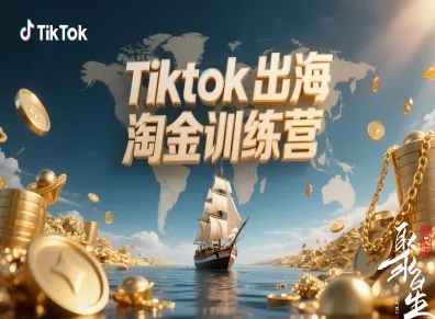 Tiktok出海淘金训练营，跨境电商TK实战变现-夜晚笔记