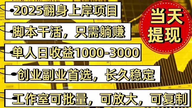 (16501期)2025翻身上岸项目脚本干活,内部客户经理内部开号,单人日收益1000-300…-夜晚笔记
