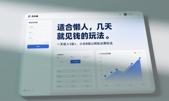 适合懒人，几天就见钱的玩法，一天收入5张+，小众B端公转私长期玩法-夜晚笔记