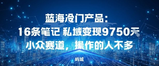 蓝海冷门产品：16条笔记私域变现9750米，小众赛道，操作的人不多-夜晚笔记