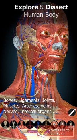 Anatomy Learning 3D解剖学v3.1.493高级版-夜晚笔记