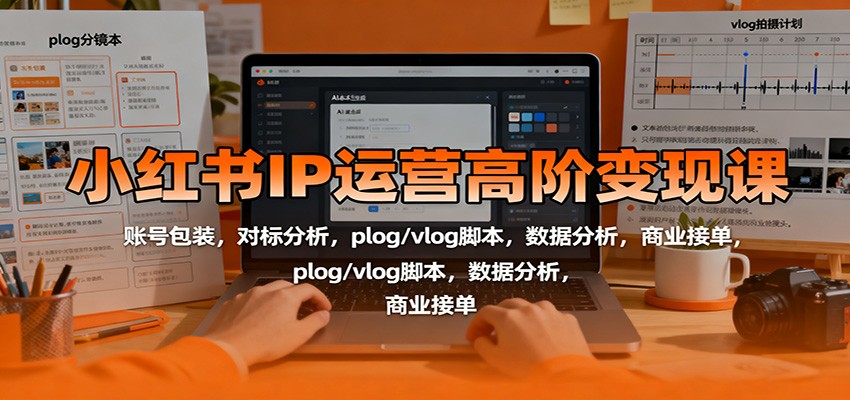 小红书IP运营高阶变现课：账号包装，对标分析，plog/vlog脚本，数据分析，商业接单-夜晚笔记
