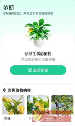 Plant Parent 植物养护v1.102高级版-夜晚笔记