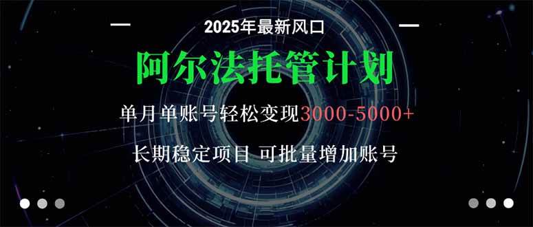 (16360期)阿尔法托管计划 单账号月入3000-5000,长期稳定项目,新手小白轻松上手。-夜晚笔记