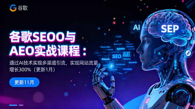 谷歌SEO与AEO实战课程:通过AI技术实现多渠道引流,实现网站流量增长300%-夜晚笔记