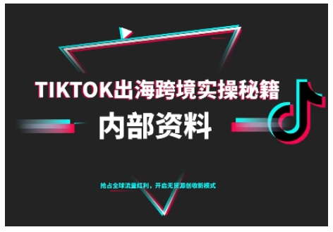 TikTok跨境电商0-1搭建运营,TK出海跨境实操秘籍(10月更新)-夜晚笔记