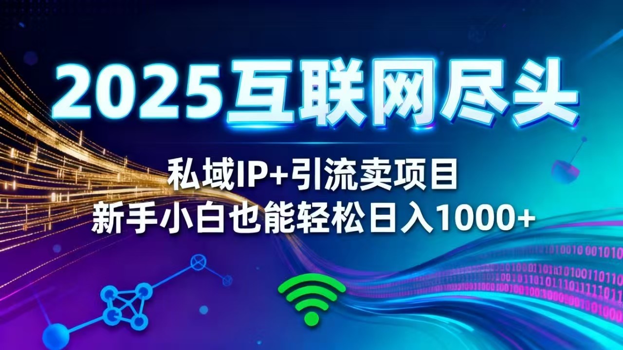 2025网创尽头王炸项目!私域 IP + 精准引流,新手小白在家躺赚日入 1000+-夜晚笔记