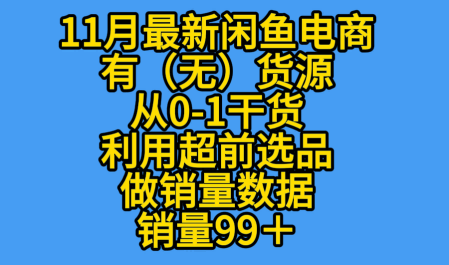 K总部落《11月最新闲鱼有无货源从0-1干货版打造销量店铺数据》-夜晚笔记