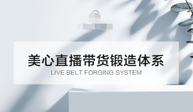 直播带货锻造体系课，5G时代美心一站式帮你开启直播带货之路【音频】-夜晚笔记
